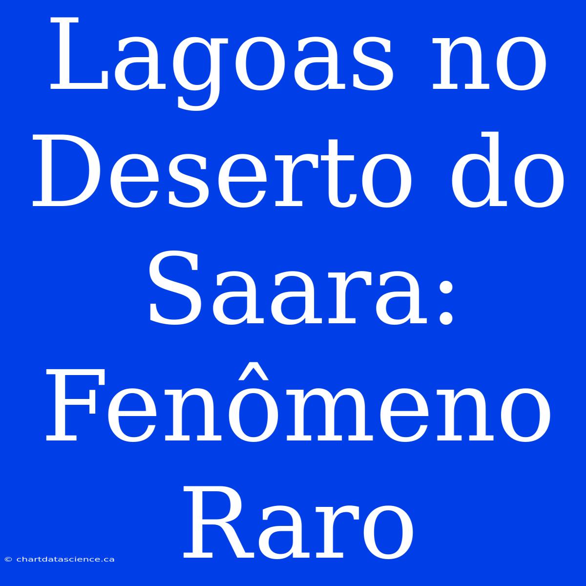 Lagoas No Deserto Do Saara: Fenômeno Raro