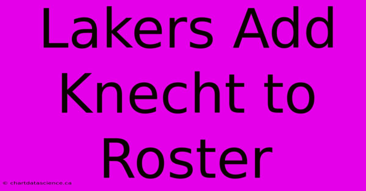 Lakers Add Knecht To Roster