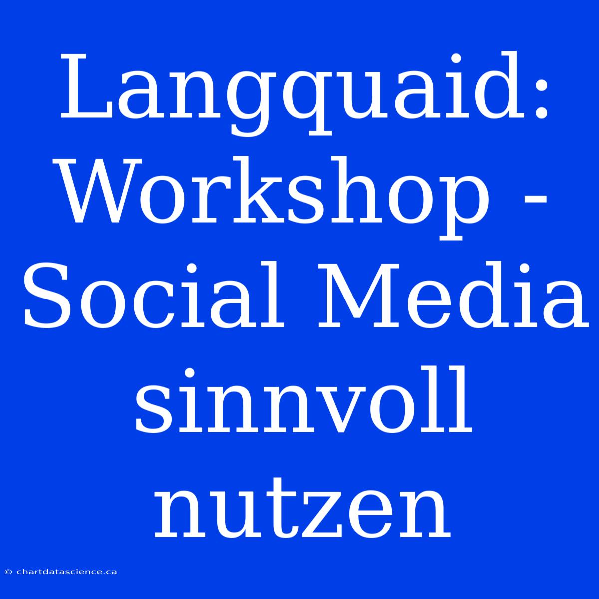 Langquaid:  Workshop - Social Media Sinnvoll Nutzen