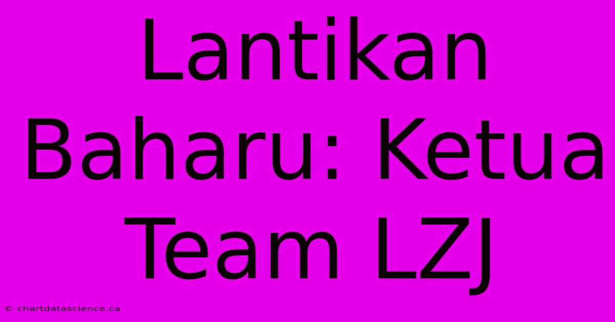 Lantikan Baharu: Ketua Team LZJ