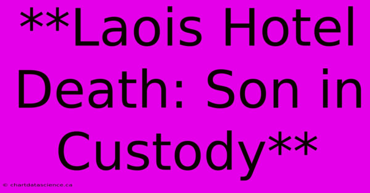 **Laois Hotel Death: Son In Custody**