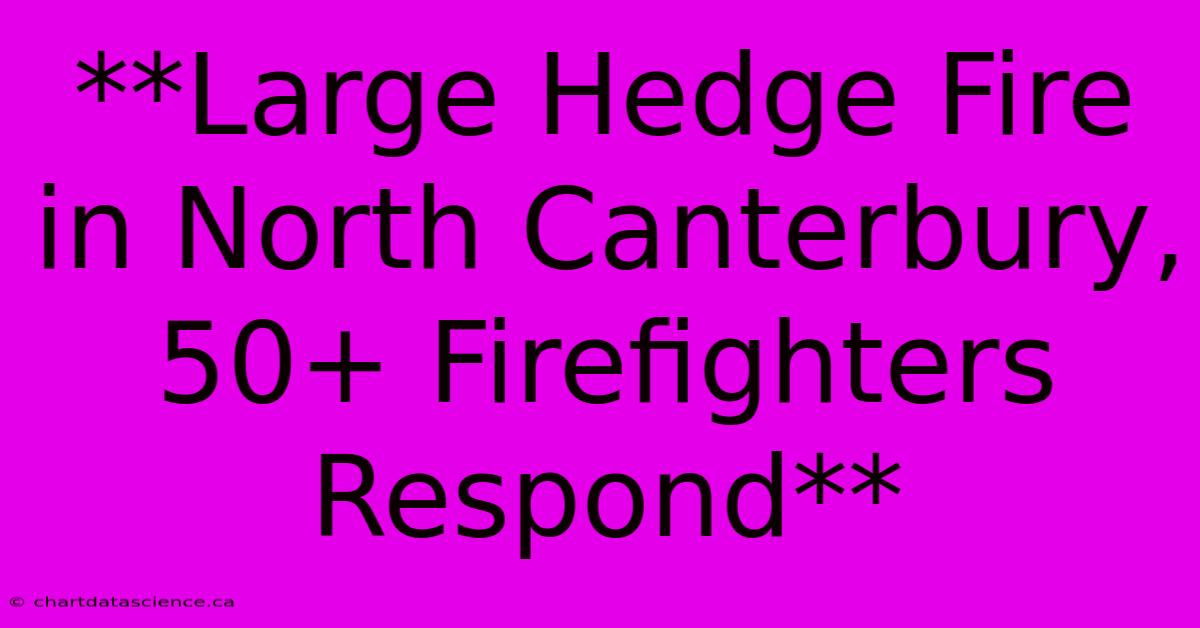 **Large Hedge Fire In North Canterbury, 50+ Firefighters Respond**