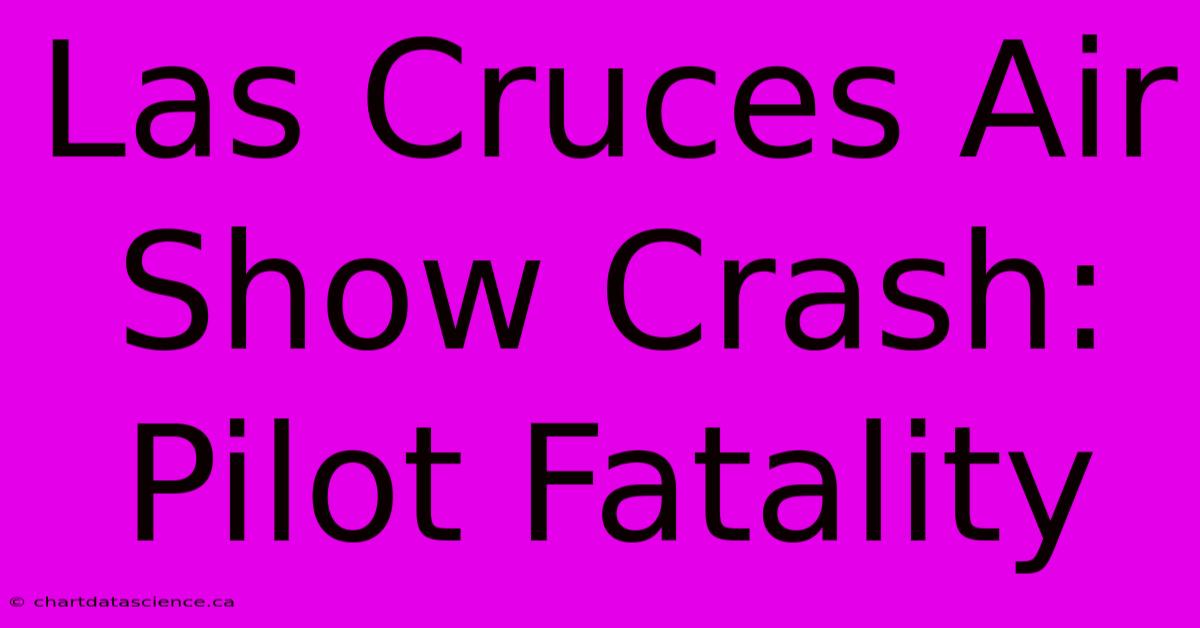 Las Cruces Air Show Crash: Pilot Fatality