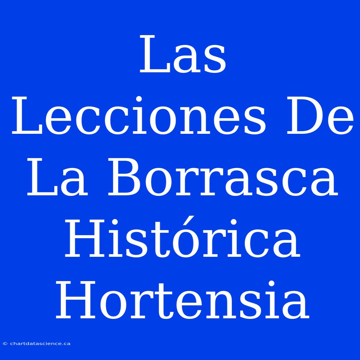 Las Lecciones De La Borrasca Histórica Hortensia