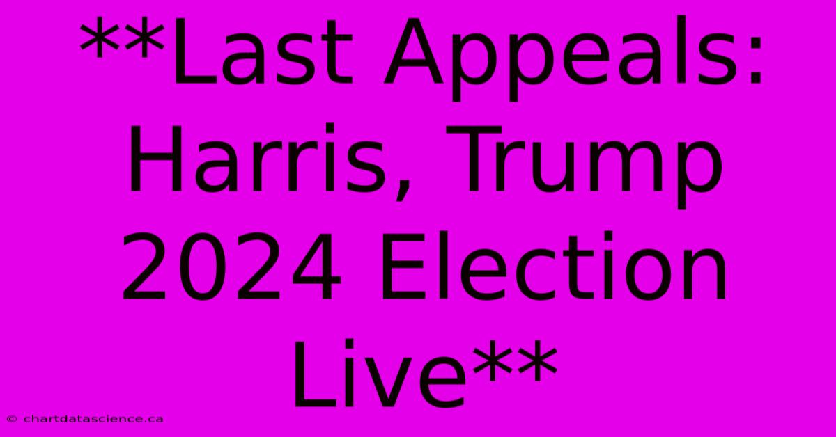 **Last Appeals: Harris, Trump 2024 Election Live**