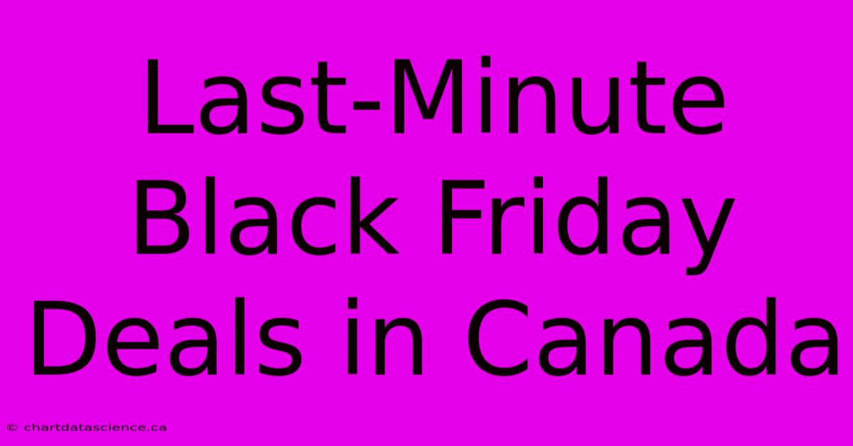 Last-Minute Black Friday Deals In Canada