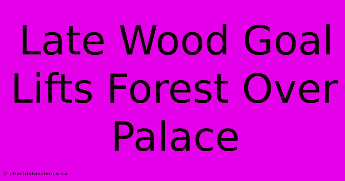 Late Wood Goal Lifts Forest Over Palace