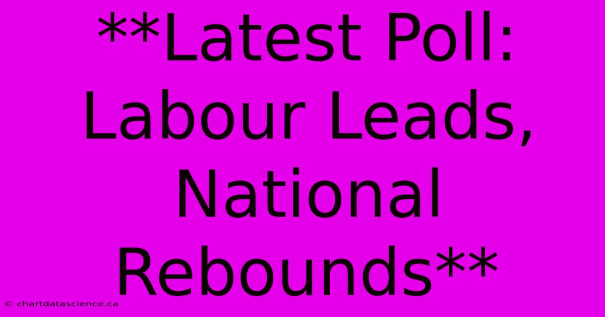 **Latest Poll: Labour Leads, National Rebounds**