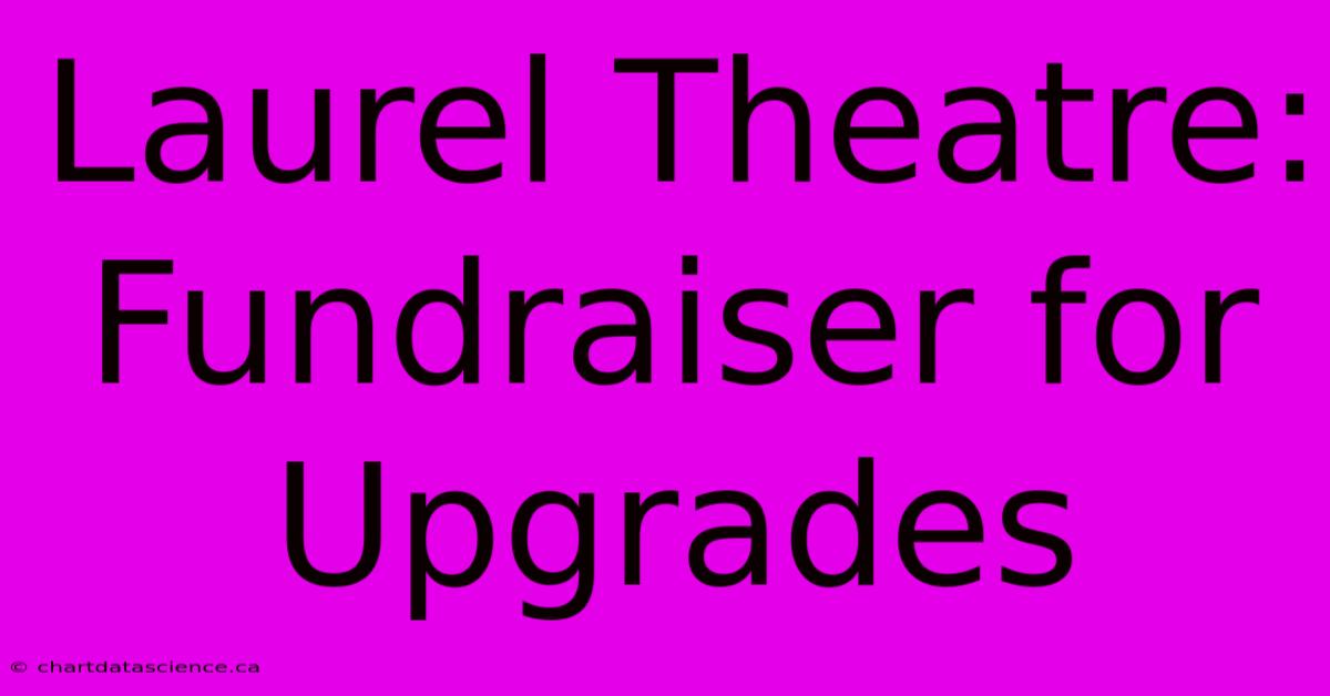 Laurel Theatre: Fundraiser For Upgrades