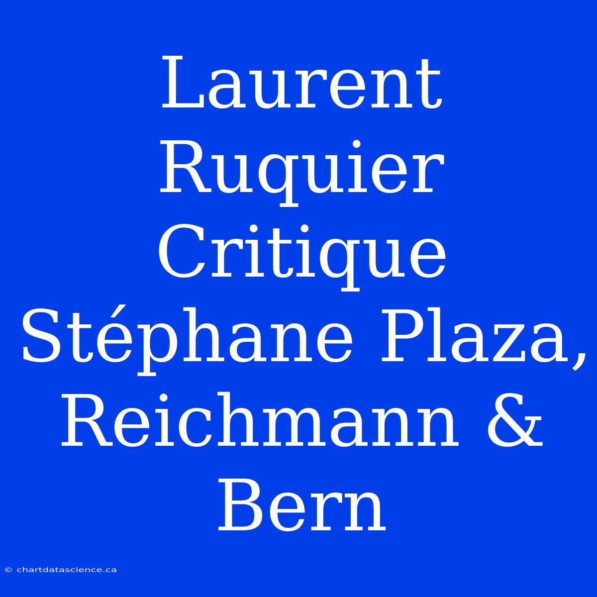 Laurent Ruquier Critique Stéphane Plaza, Reichmann & Bern