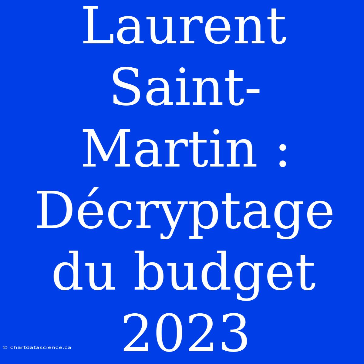 Laurent Saint-Martin : Décryptage Du Budget 2023