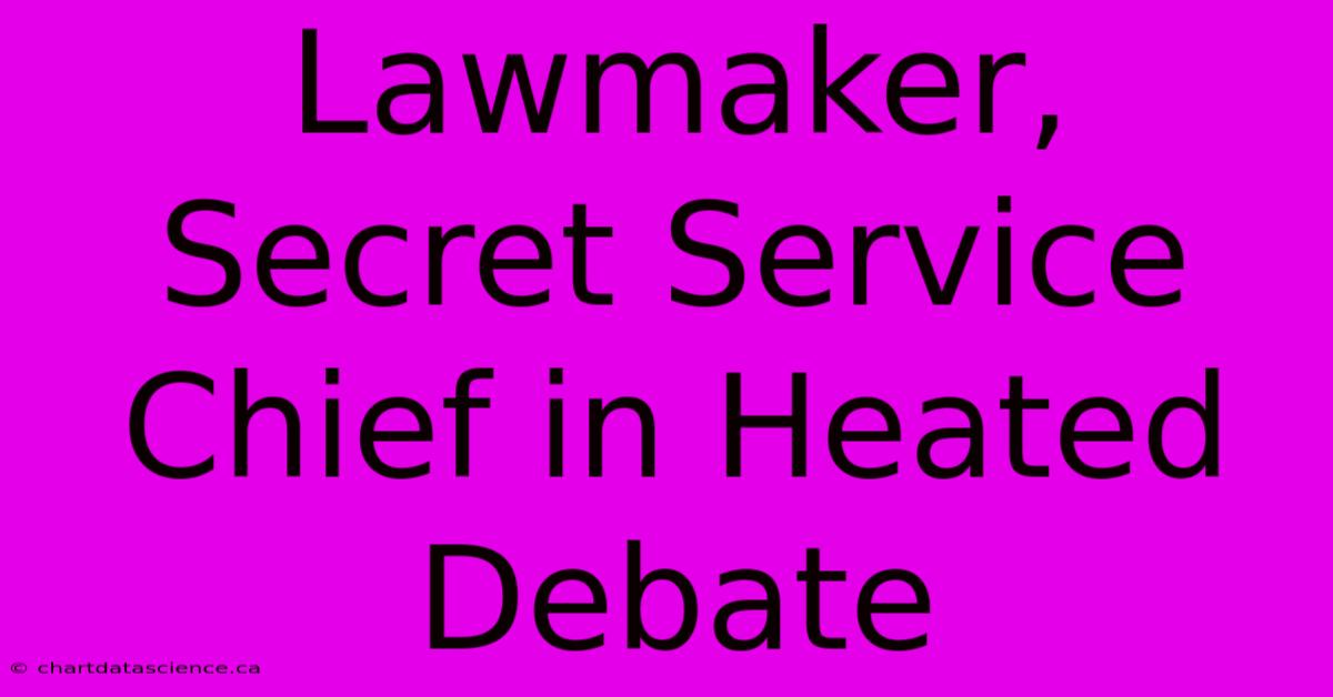 Lawmaker, Secret Service Chief In Heated Debate