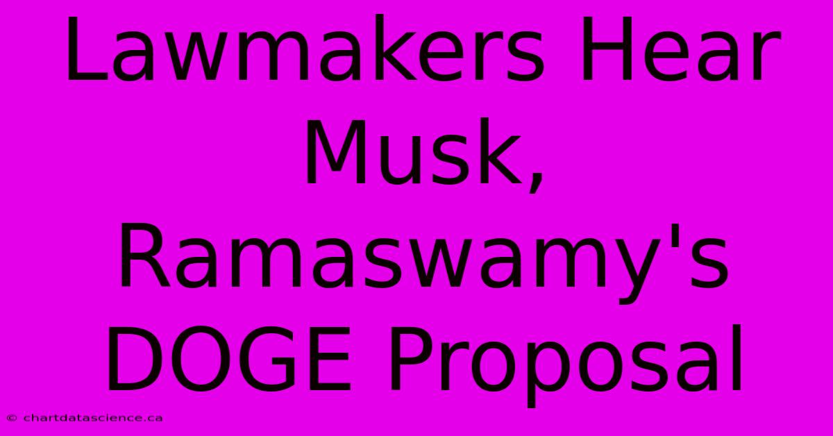 Lawmakers Hear Musk, Ramaswamy's DOGE Proposal