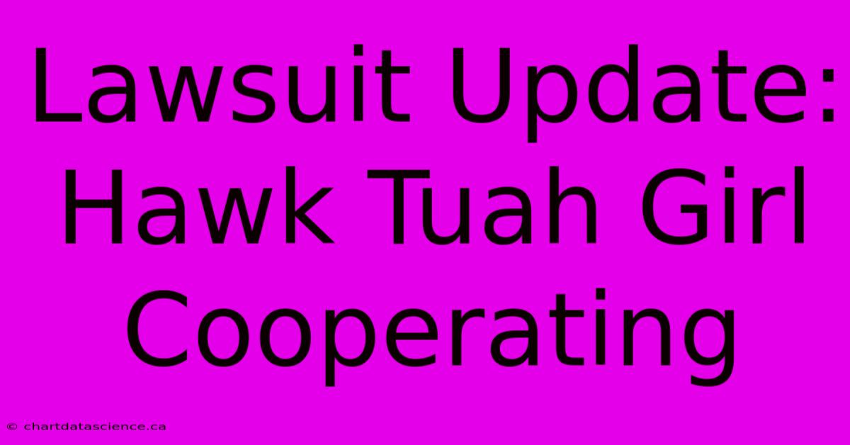 Lawsuit Update: Hawk Tuah Girl Cooperating