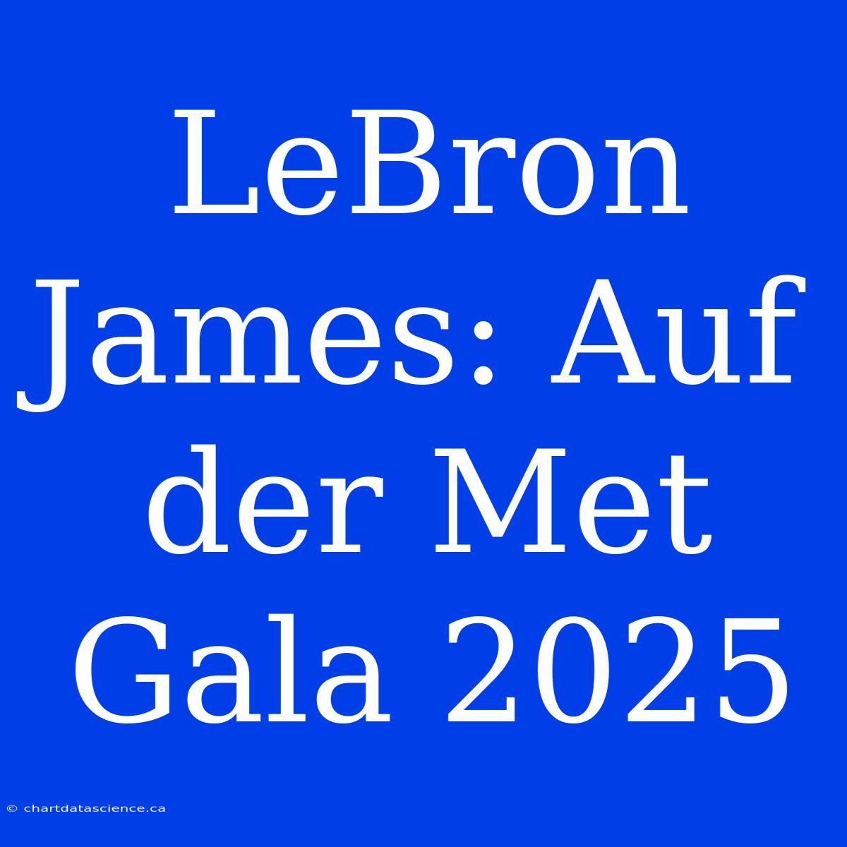 LeBron James: Auf Der Met Gala 2025