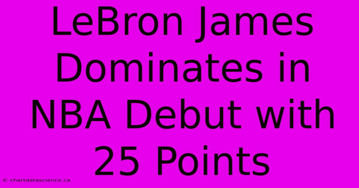 LeBron James Dominates In NBA Debut With 25 Points