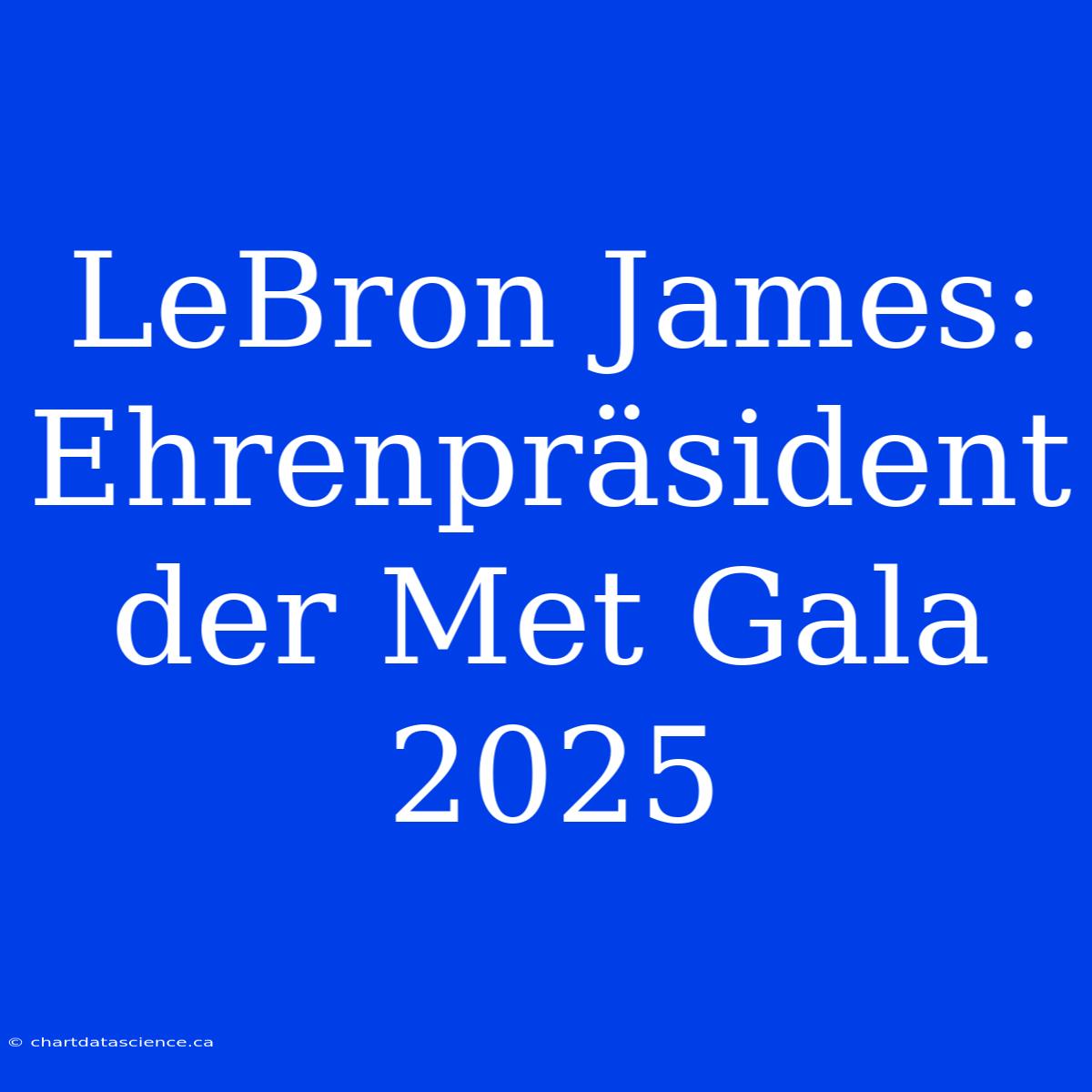 LeBron James: Ehrenpräsident Der Met Gala 2025