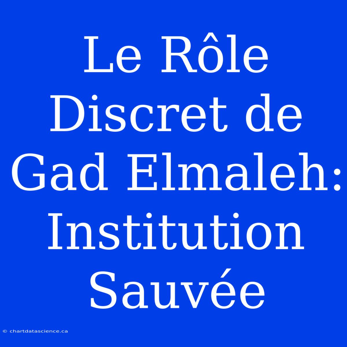 Le Rôle Discret De Gad Elmaleh: Institution Sauvée