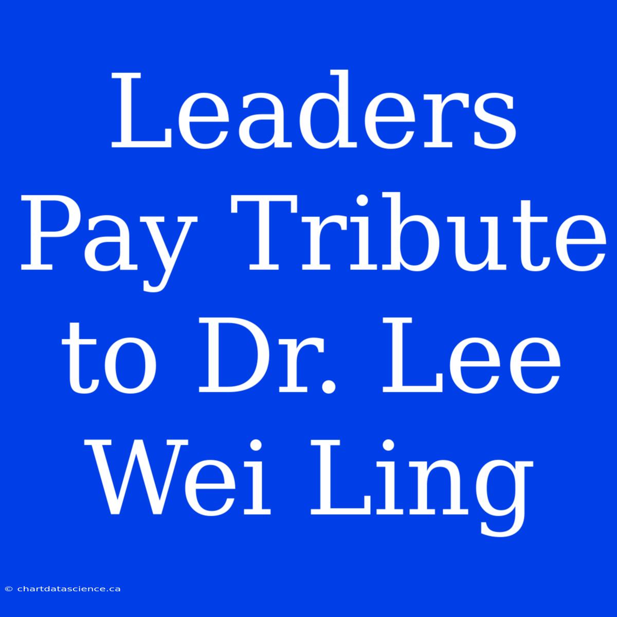 Leaders Pay Tribute To Dr. Lee Wei Ling