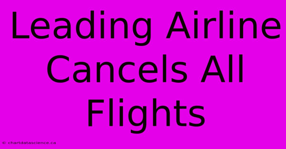 Leading Airline Cancels All Flights