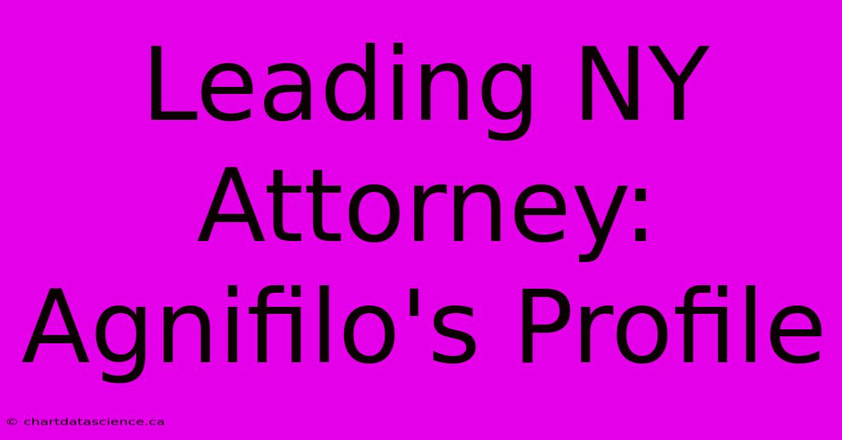 Leading NY Attorney: Agnifilo's Profile