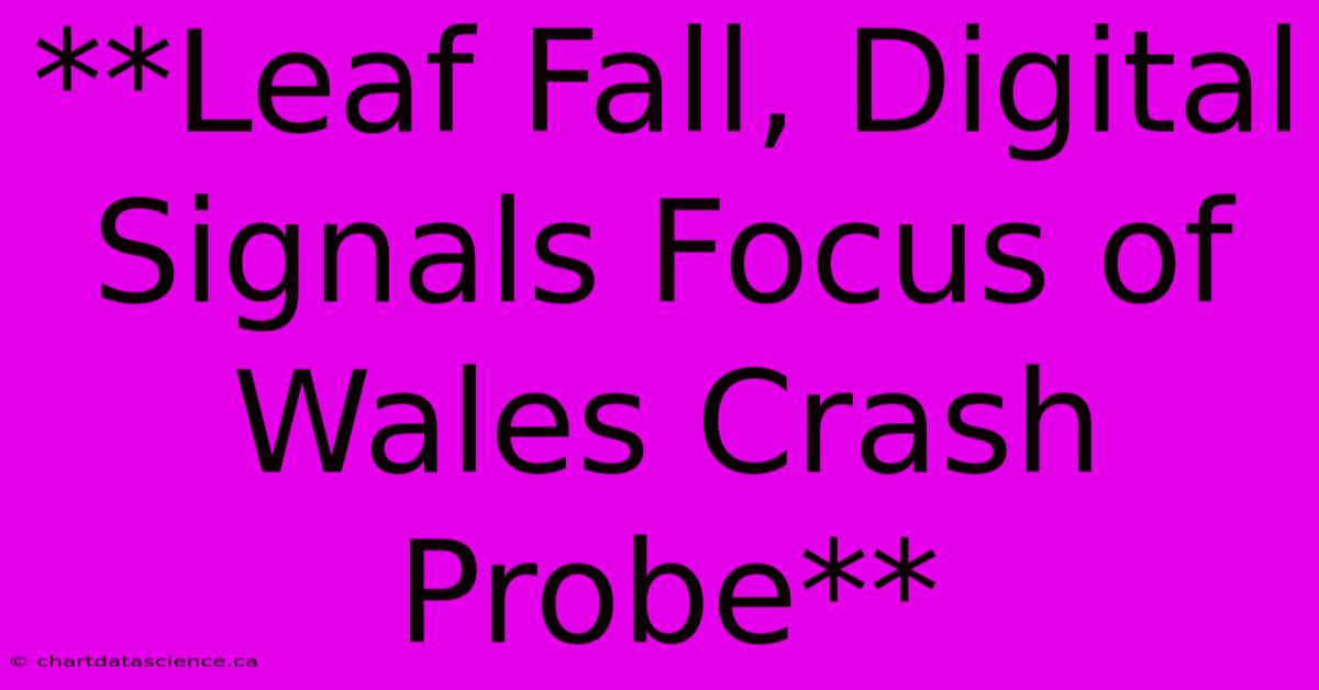 **Leaf Fall, Digital Signals Focus Of Wales Crash Probe**