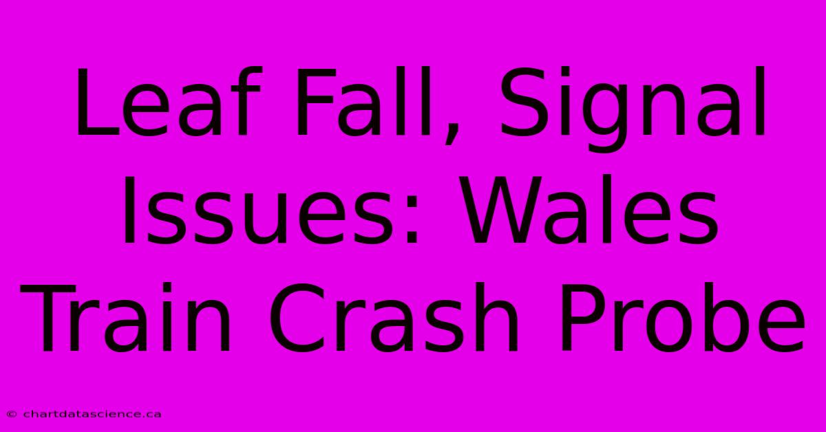 Leaf Fall, Signal Issues: Wales Train Crash Probe