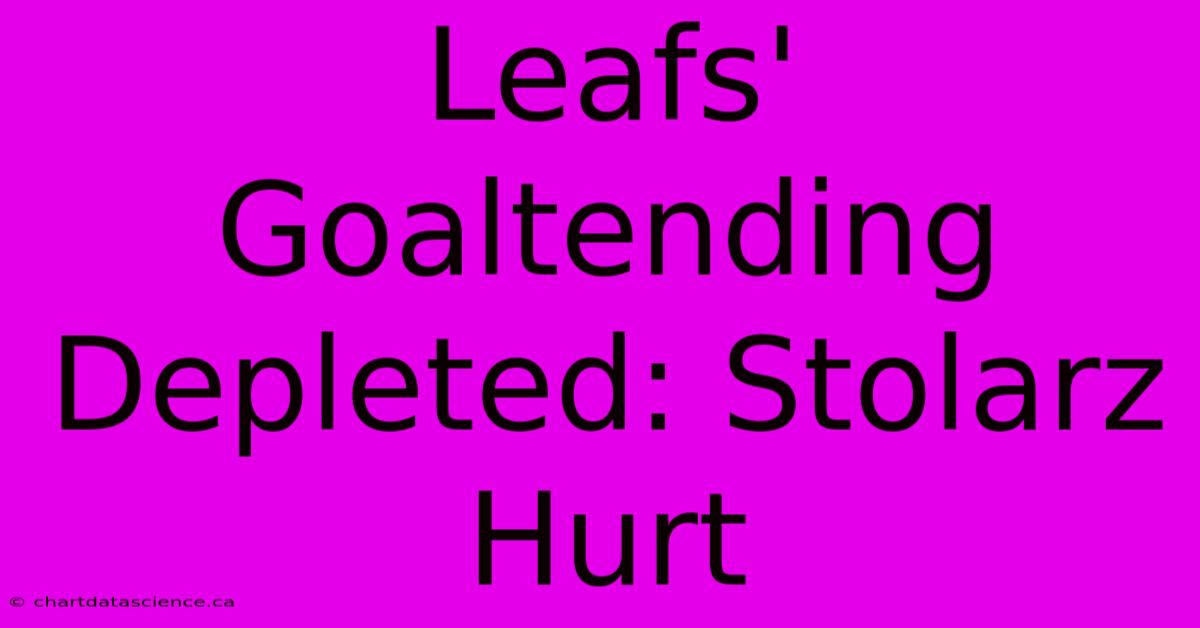 Leafs' Goaltending Depleted: Stolarz Hurt