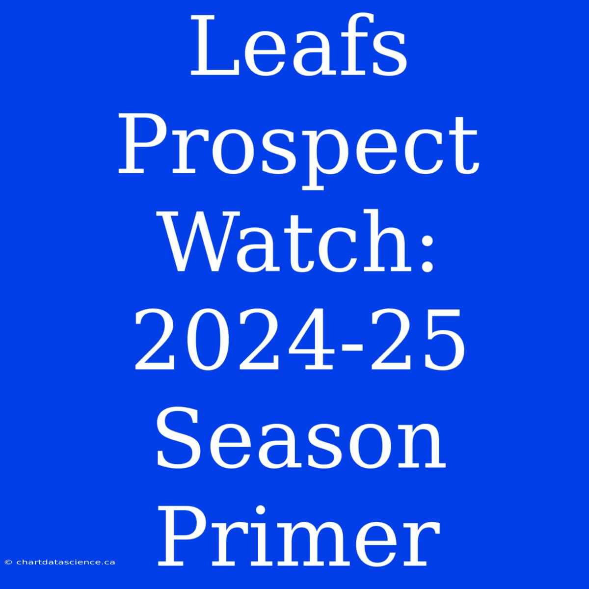 Leafs Prospect Watch:  2024-25 Season Primer