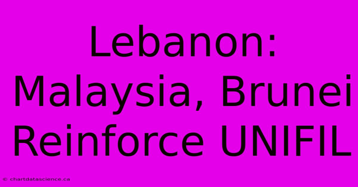 Lebanon: Malaysia, Brunei Reinforce UNIFIL