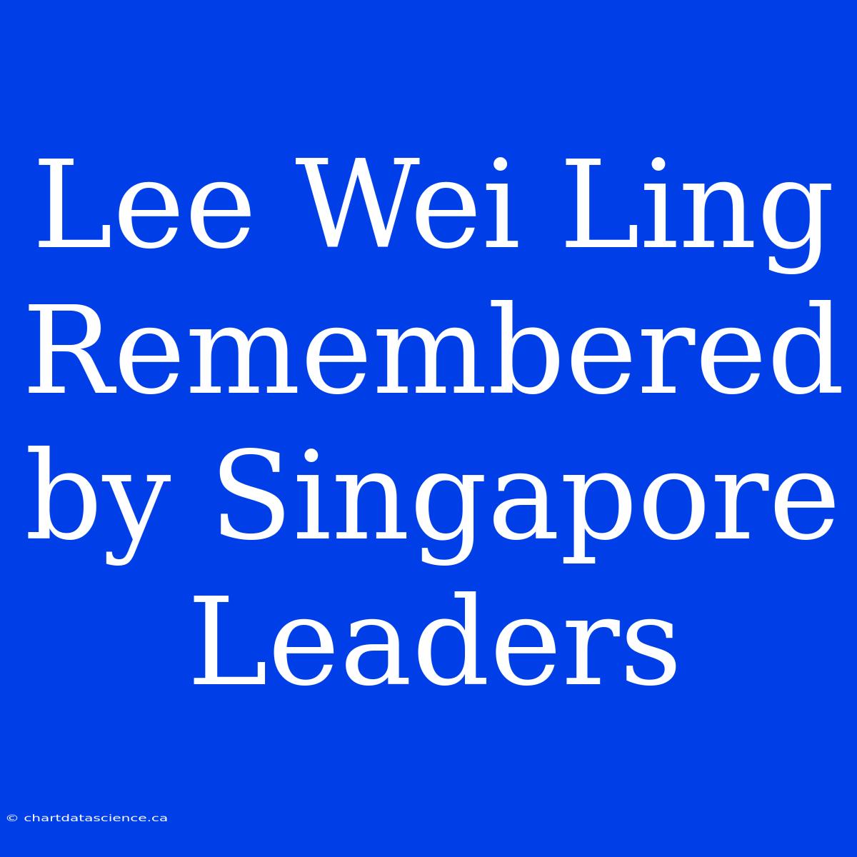 Lee Wei Ling Remembered By Singapore Leaders