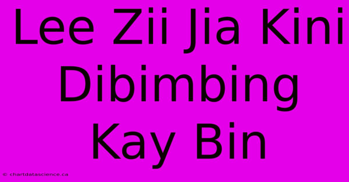 Lee Zii Jia Kini Dibimbing Kay Bin