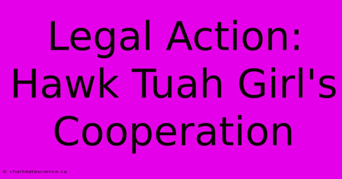 Legal Action: Hawk Tuah Girl's Cooperation