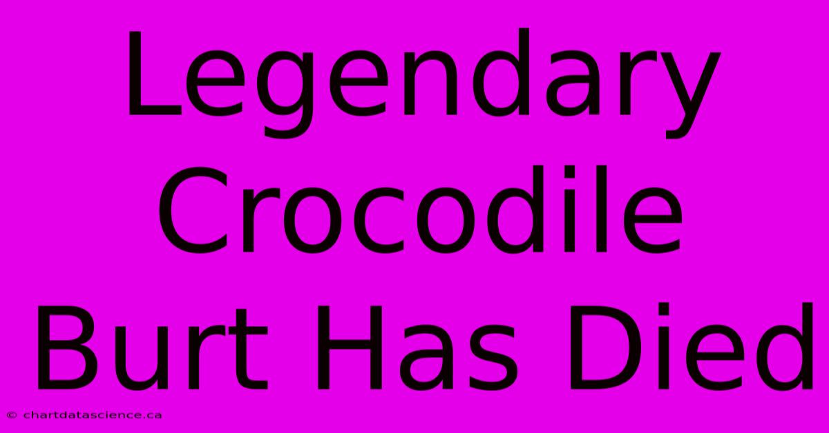 Legendary Crocodile Burt Has Died