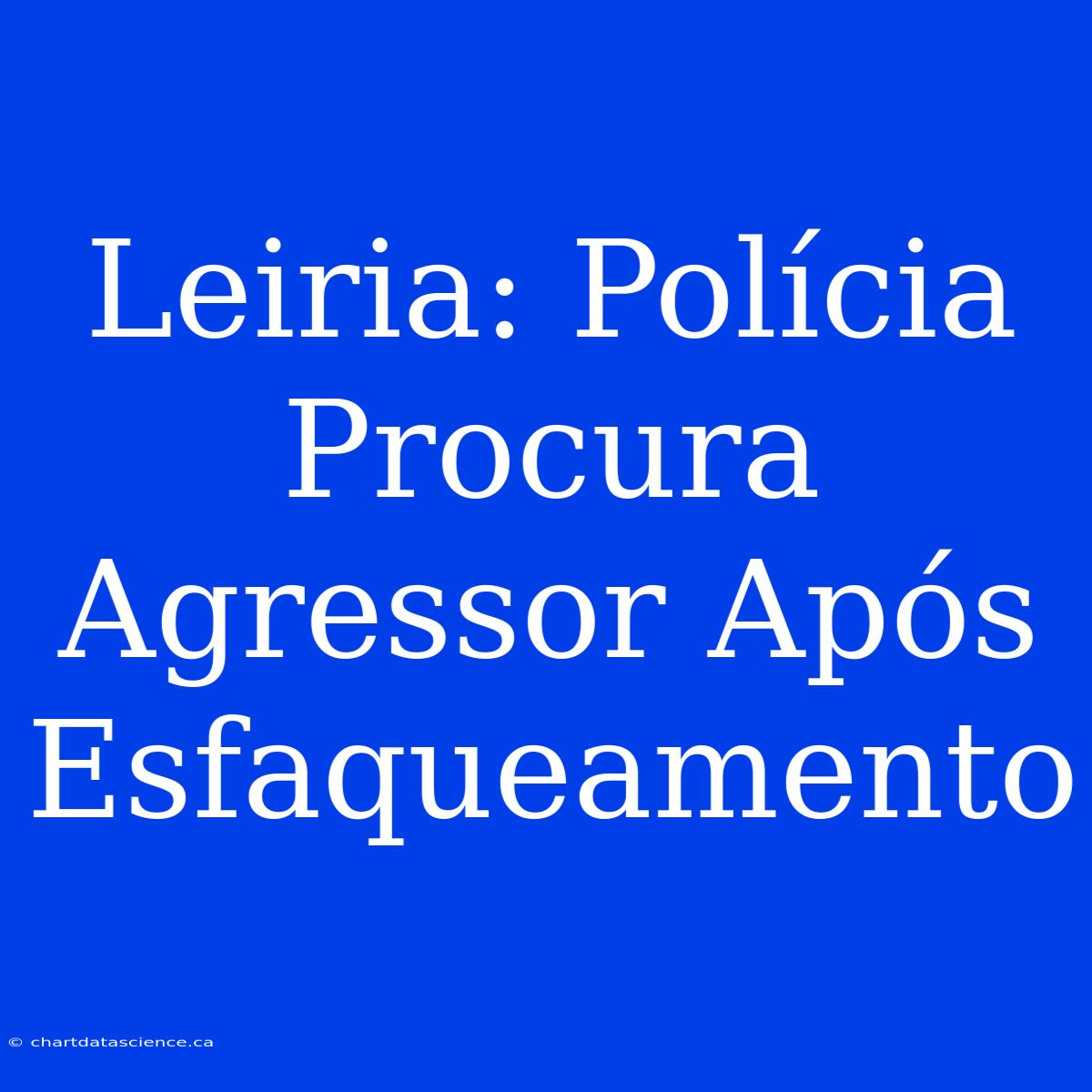 Leiria: Polícia Procura Agressor Após Esfaqueamento