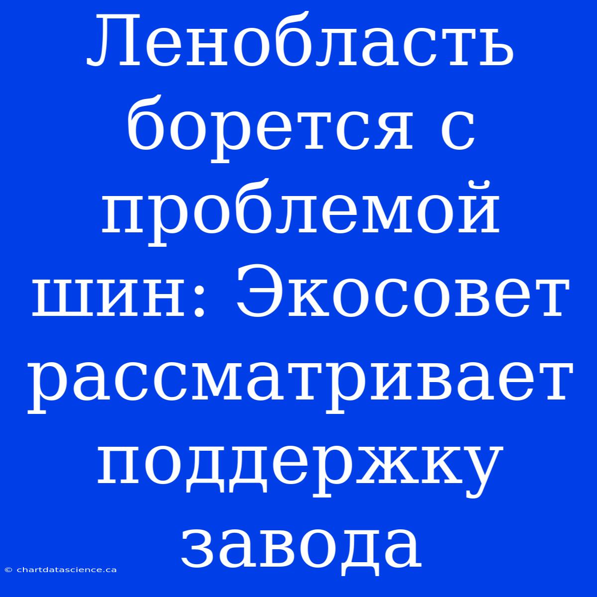 Ленобласть Борется С Проблемой Шин: Экосовет Рассматривает Поддержку Завода