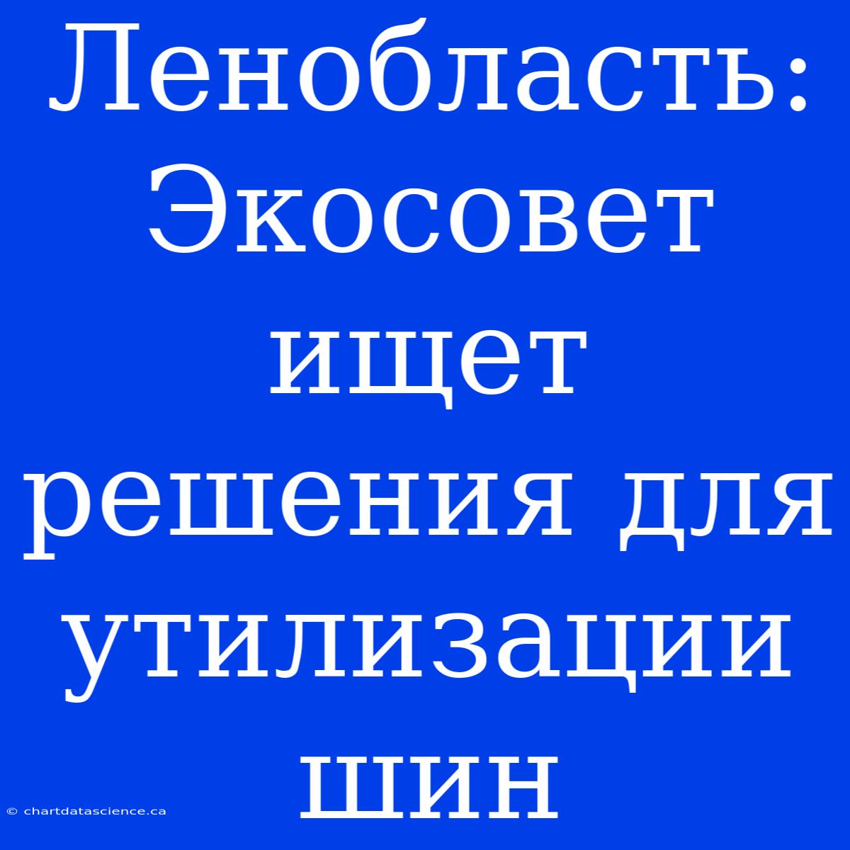 Ленобласть: Экосовет Ищет Решения Для Утилизации Шин