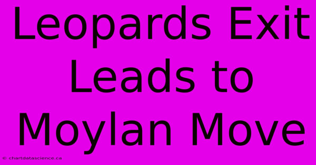 Leopards Exit Leads To Moylan Move 