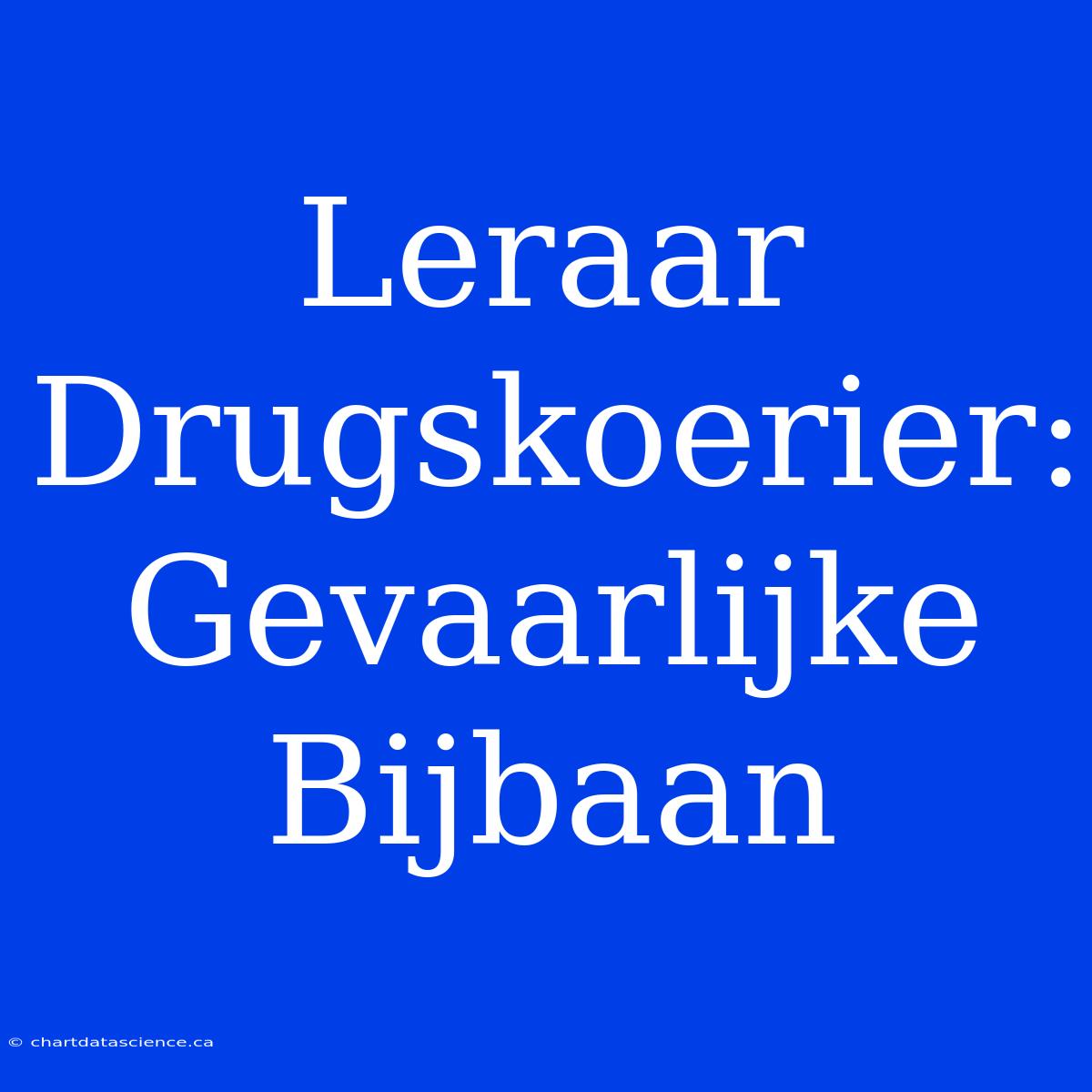 Leraar Drugskoerier: Gevaarlijke Bijbaan