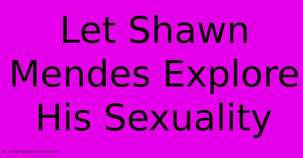 Let Shawn Mendes Explore His Sexuality