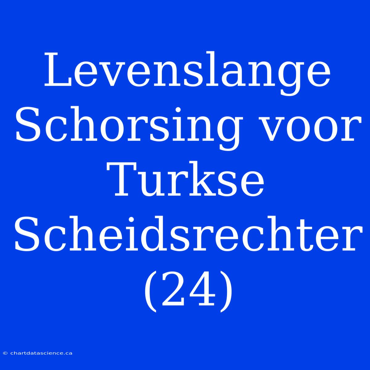 Levenslange Schorsing Voor Turkse Scheidsrechter (24)