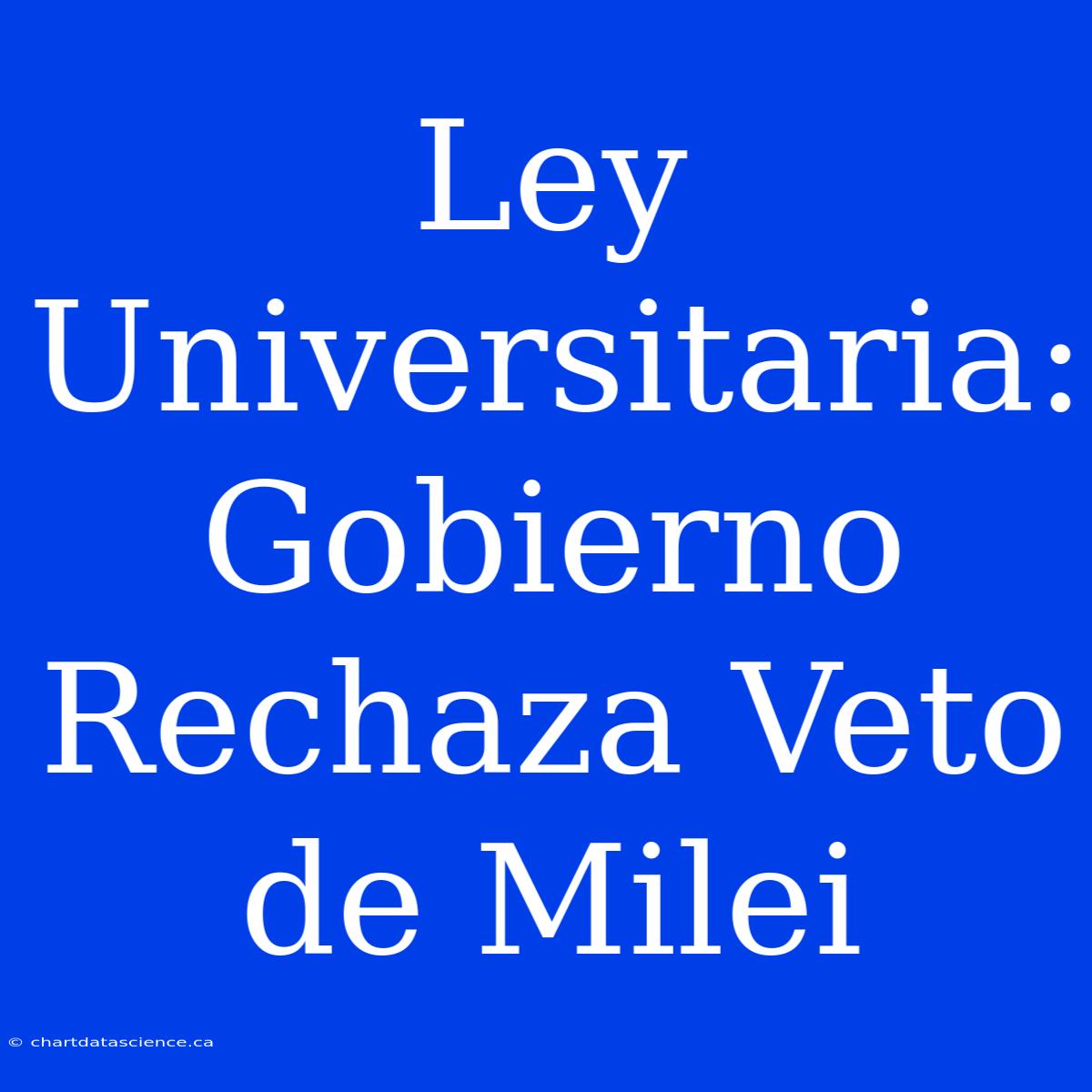 Ley Universitaria: Gobierno Rechaza Veto De Milei