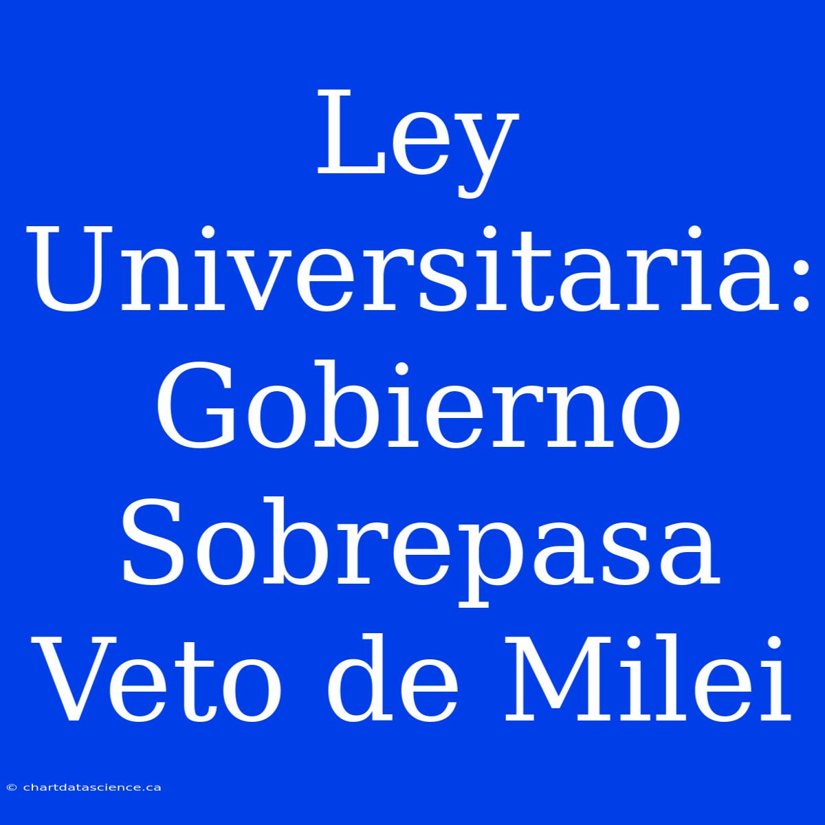 Ley Universitaria: Gobierno Sobrepasa Veto De Milei