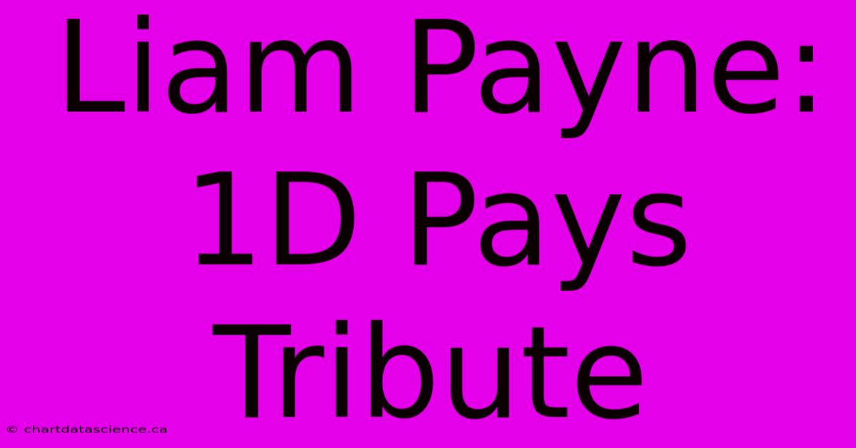 Liam Payne: 1D Pays Tribute