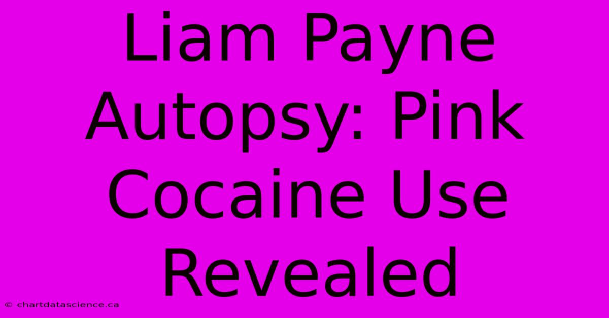 Liam Payne Autopsy: Pink Cocaine Use Revealed