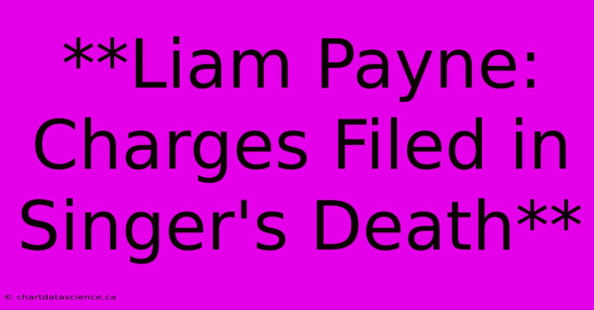 **Liam Payne: Charges Filed In Singer's Death**