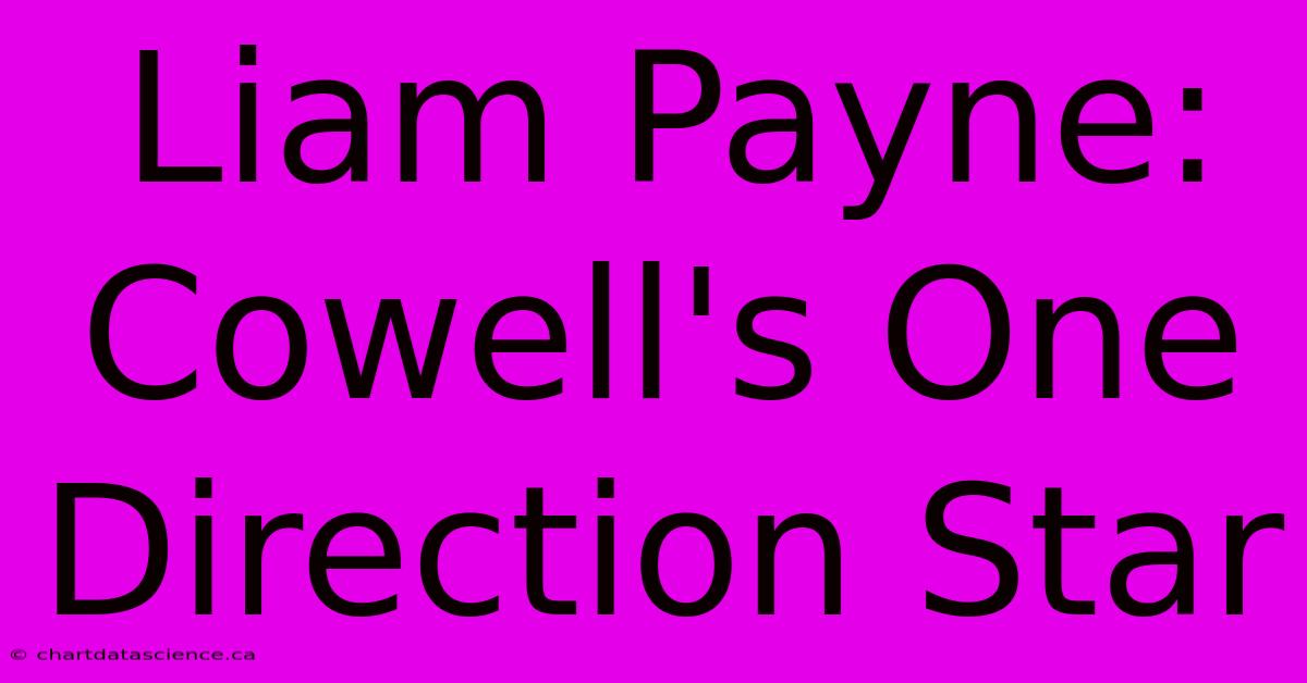 Liam Payne: Cowell's One Direction Star