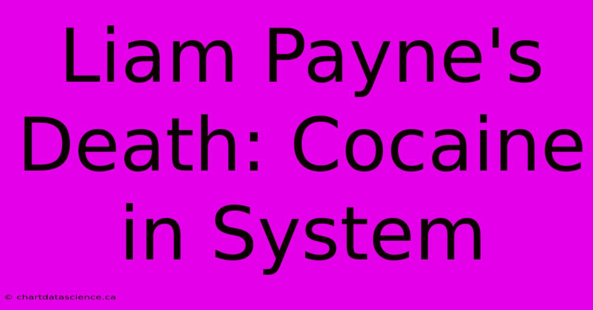 Liam Payne's Death: Cocaine In System