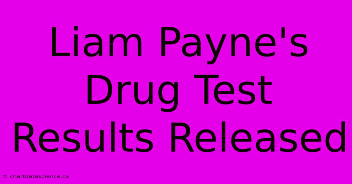 Liam Payne's Drug Test Results Released