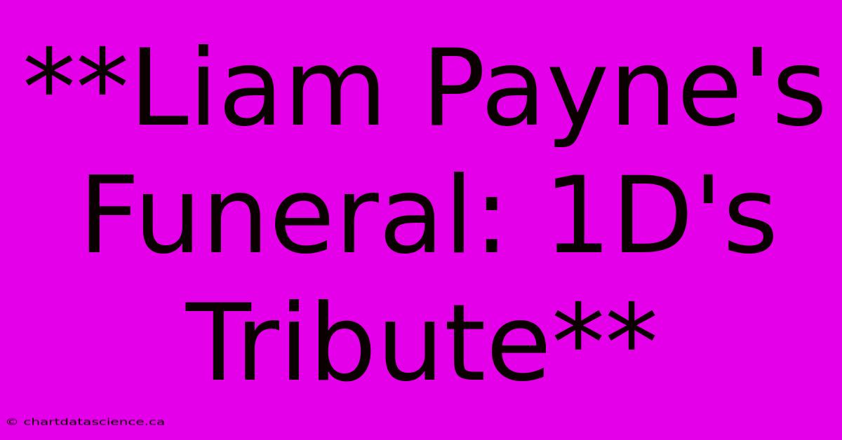 **Liam Payne's Funeral: 1D's Tribute**